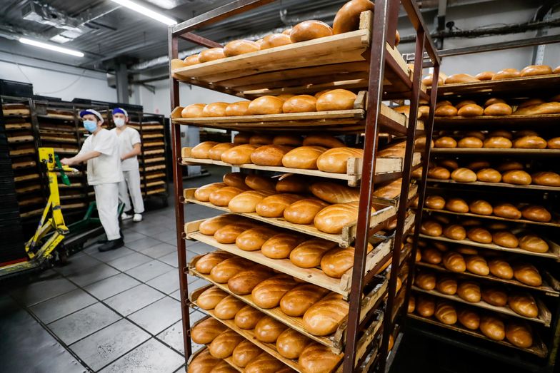 Wielki skok ceny chleba w Polsce. Dane, które dają mocno do myślenia