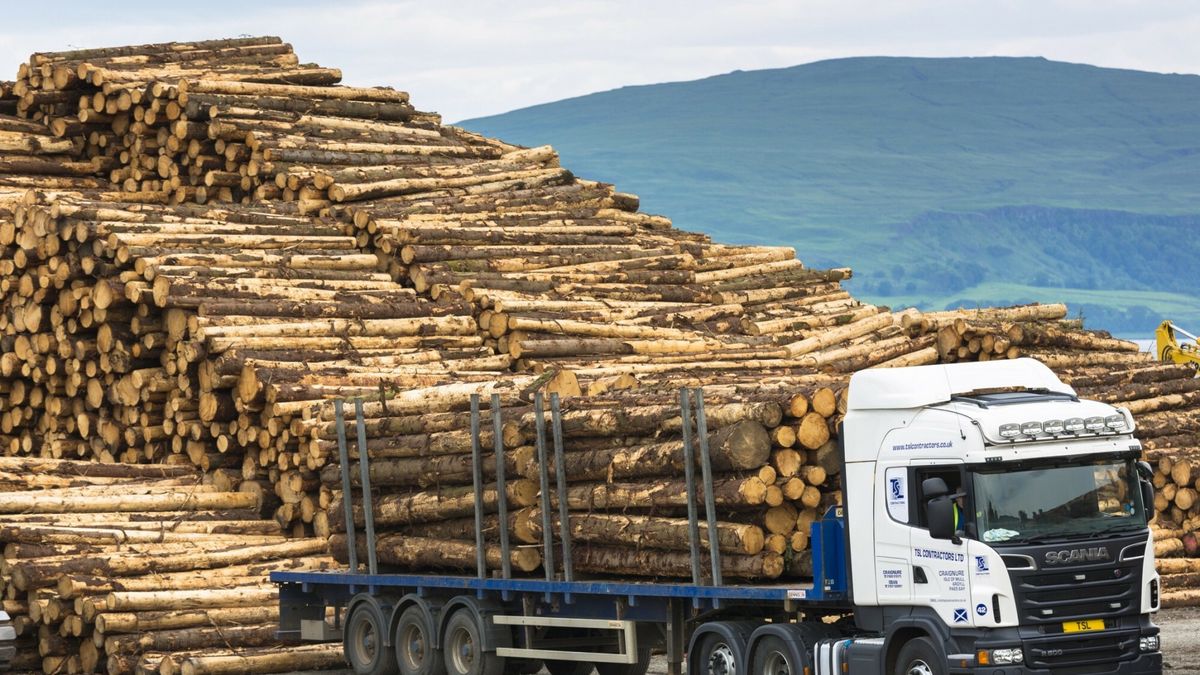 Robert Harding October 2104 Update Heritage
Logging and timber production and transportation at Craignure, Isle of Mull, Inner Hebrides, Scotland, United Kingdom, Europe