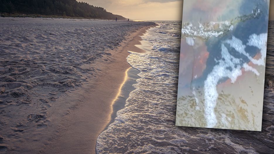 Ciekawe znalezisko na plaży w Sztutowie 