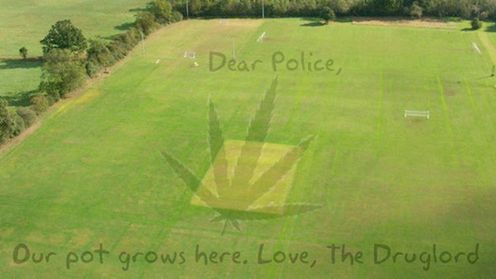 Odnaleziono hodowlę marihuany, dzięki... Google Earth 1