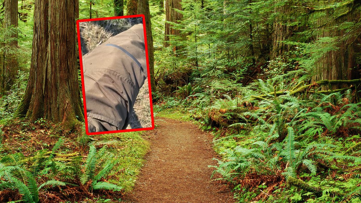 Niepokojąca sytuacja w lasach.