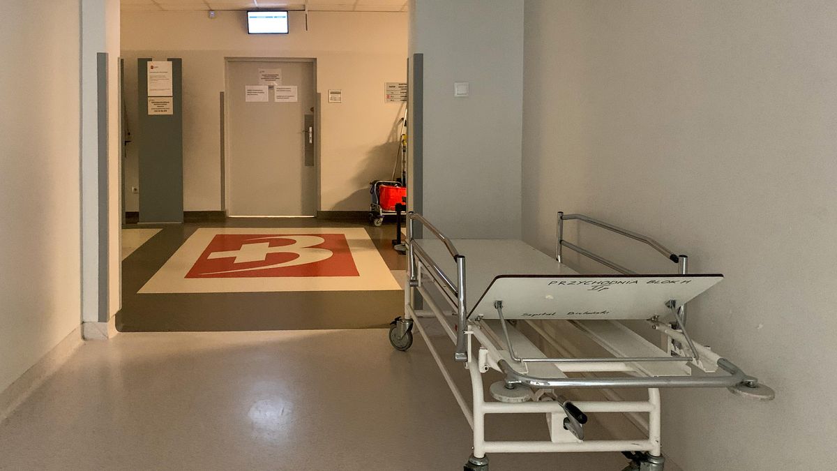 korytarz szpitalny
Warszawa, 10.10.2024. Szpital - zdj�cie ilustracyjne.
PAP/Albert Zawada
Albert Zawada
fot pnp, foto pnp, fotopnp, fotpnp, ilustracja, ilustracje, korytarz, ��ko szpitalne, medycyna, ochrona zdrowia, opieka medyczna, plac�wka medyczna, pnp, szpital, szpitalna, zdrowie