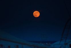 Zaćmienie i pełnia truskawkowego księżyca. Kiedy się odbędzie? O której godzinie?
