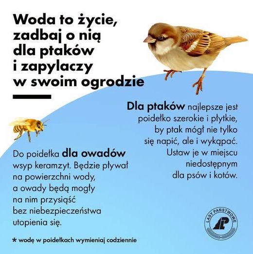 Instrukcja przygotowania poidła dla ptaków