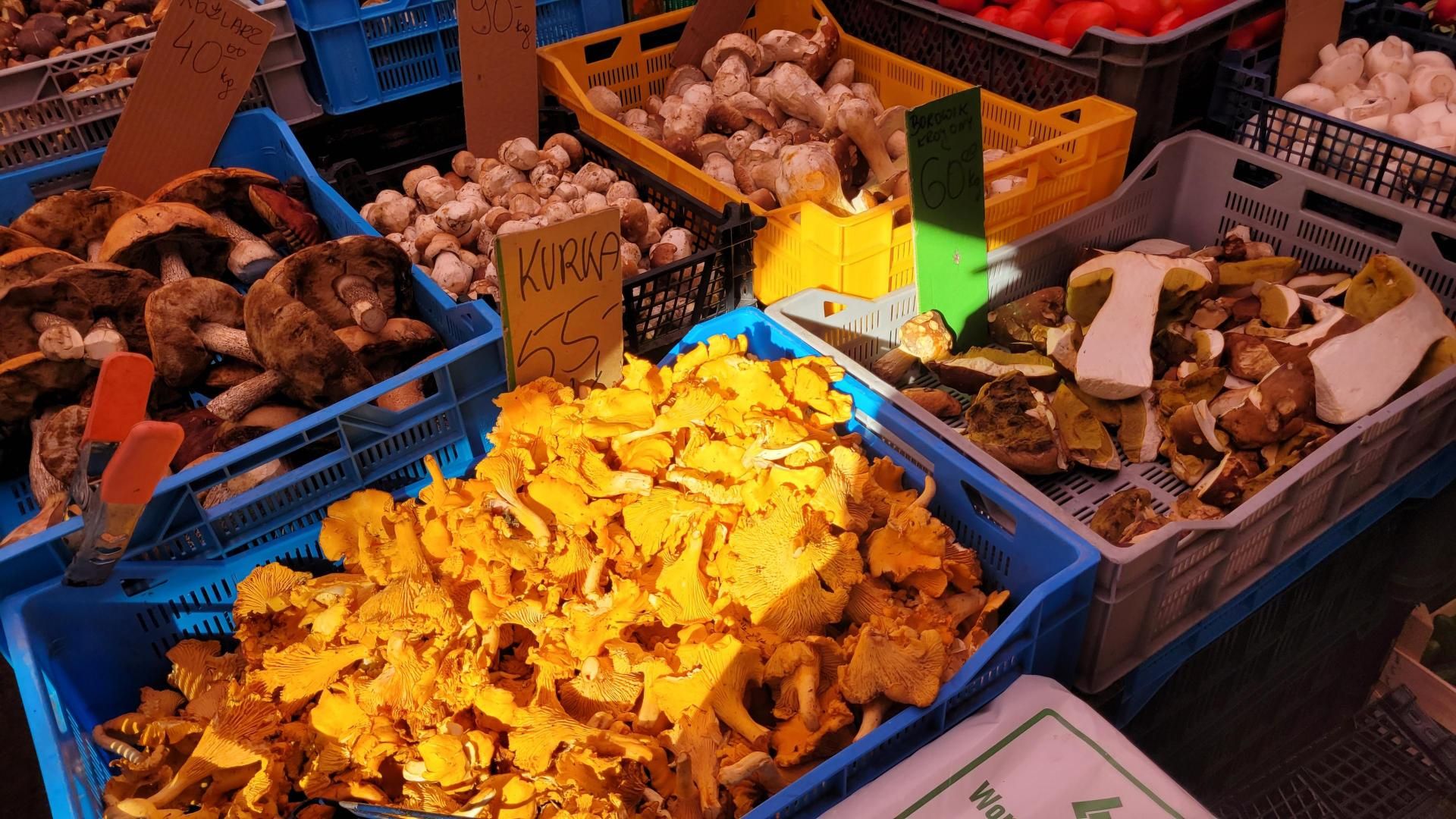 Rozpiętość cena borowików jest zdecydowanie największa