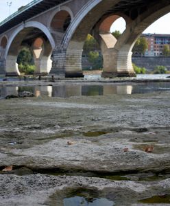 Susza w Europie. "Woda może być ropą XXI wieku"