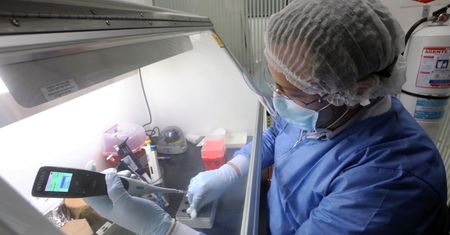 Koronawirus. Niemcy dopuszczają szczepionkę przeciwko COVID-19 do testów na ludziach