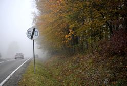 Pogoda. Wyż Ramesh zapewni nam pogodny i słoneczny weekend