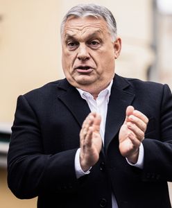 Ceny paliw w górę, ale nie dla wszystkich. Węgrzy murem za Orbanem