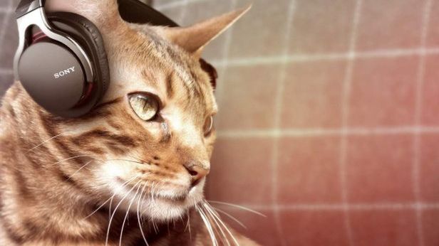 Tak Internet bawił się 1 kwietnia: 15 najlepszych żartów na prima aprilis 1