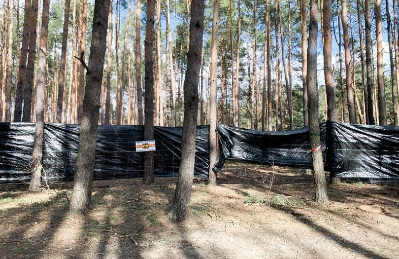 Maciej Musiał ogląda ustronną działkę za ponad milion złotych