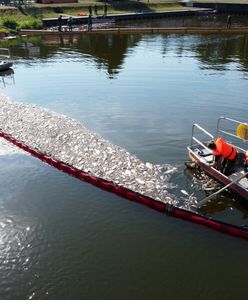 Niemcy o Odrze. Dostało się Polakom