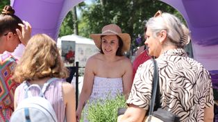 IV Festiwal Lawendy w Katowicach. Aromaterapia, joga, medytacja i rękodzieło w Lawendowym Ogrodzie w Ochojcu