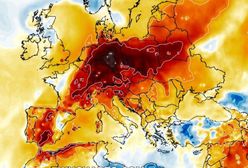 Pogoda mocno zaskoczy. Zwrot w prognozach