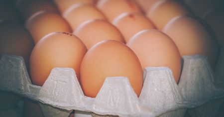 W supermarkecie tego nie robią. To dlatego nie powinieneś chować jajek do lodówki