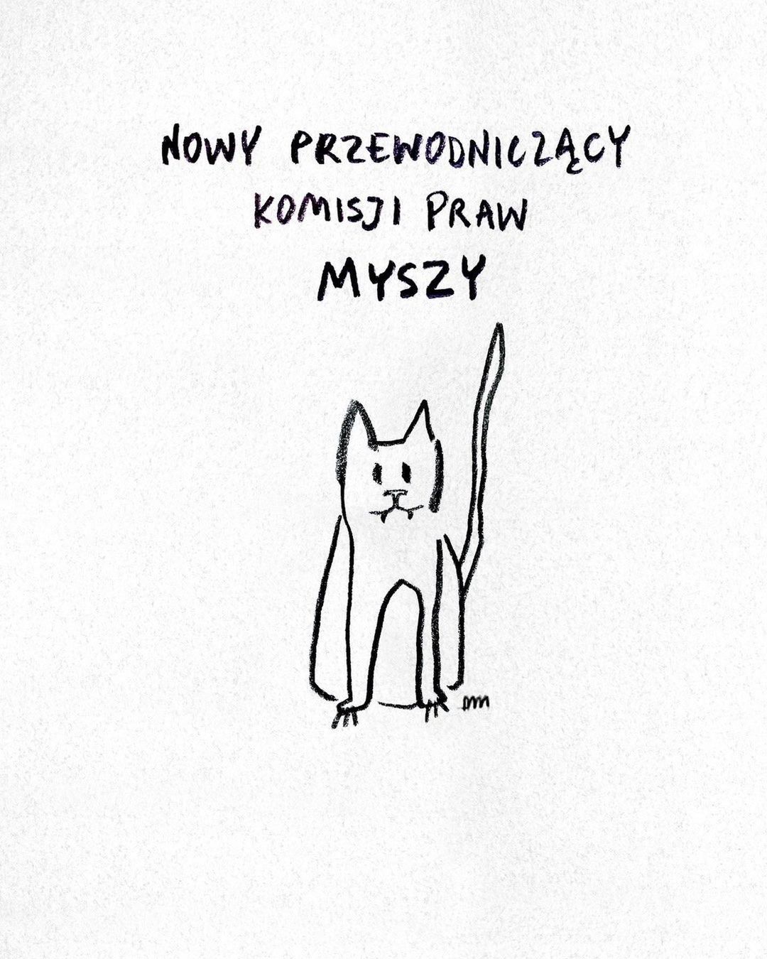 Matylda Damięcka opublikowała nowe grafiki