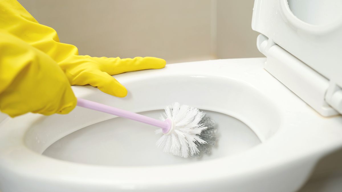 Jak skutecznie wyczyścić muszlę klozetową? 