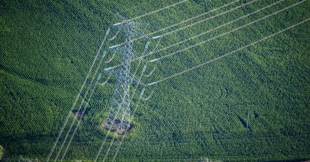 Mrożenie cen energii? "Płaci za to każdy z nas"