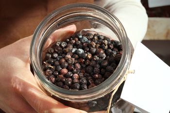 Babcia zawsze dodawała do ciężkich dań i mięs. My raczej o nim zapomnieliśmy, a wspiera jelita i wątrobę w trawieniu