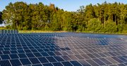Lasy Państwowe stawiają na fotowoltaikę. W planach aż 200 MW