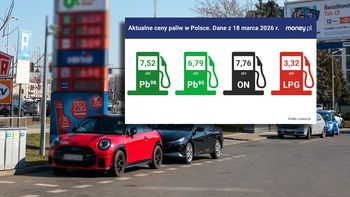 "Wyraźnie wzrosły". Oto jak zmieniły się ceny paliw od ubiegłego tygodnia
