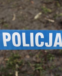 Znaleziono balon w lesie. Ma doczepioną tajemniczą płytkę