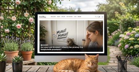 Kocia Kołyska dołącza do WPlatform