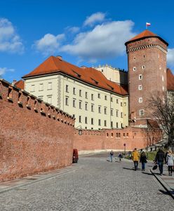 Kosmiczne ceny biletów na Wawel. "Zwiedzanie Luwru jest tańsze"