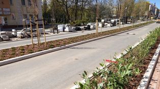 Trwa przebudowa ulicy Zwycięstwa w Koszalinie. W centrum miasta robi się zielono