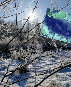 Atak mrozów w Polsce. Termometry pokazały nawet -24 stopnie