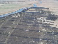 Pożar łąk nadnoteckich