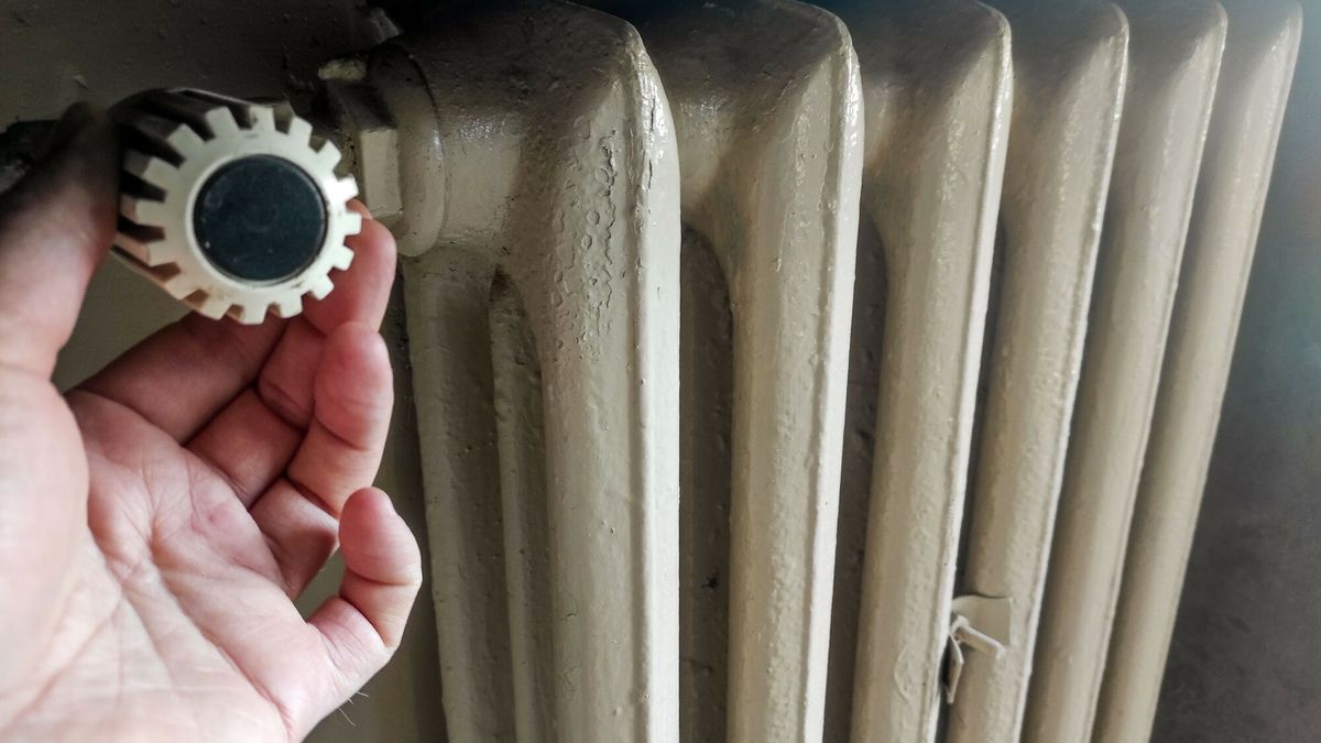 Jakie są przepisy i czy są one skuteczne w eliminacji problemu?