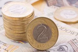 TNS Polska: Ponad połowa Polaków rozmawiała z szefem o podwyżce