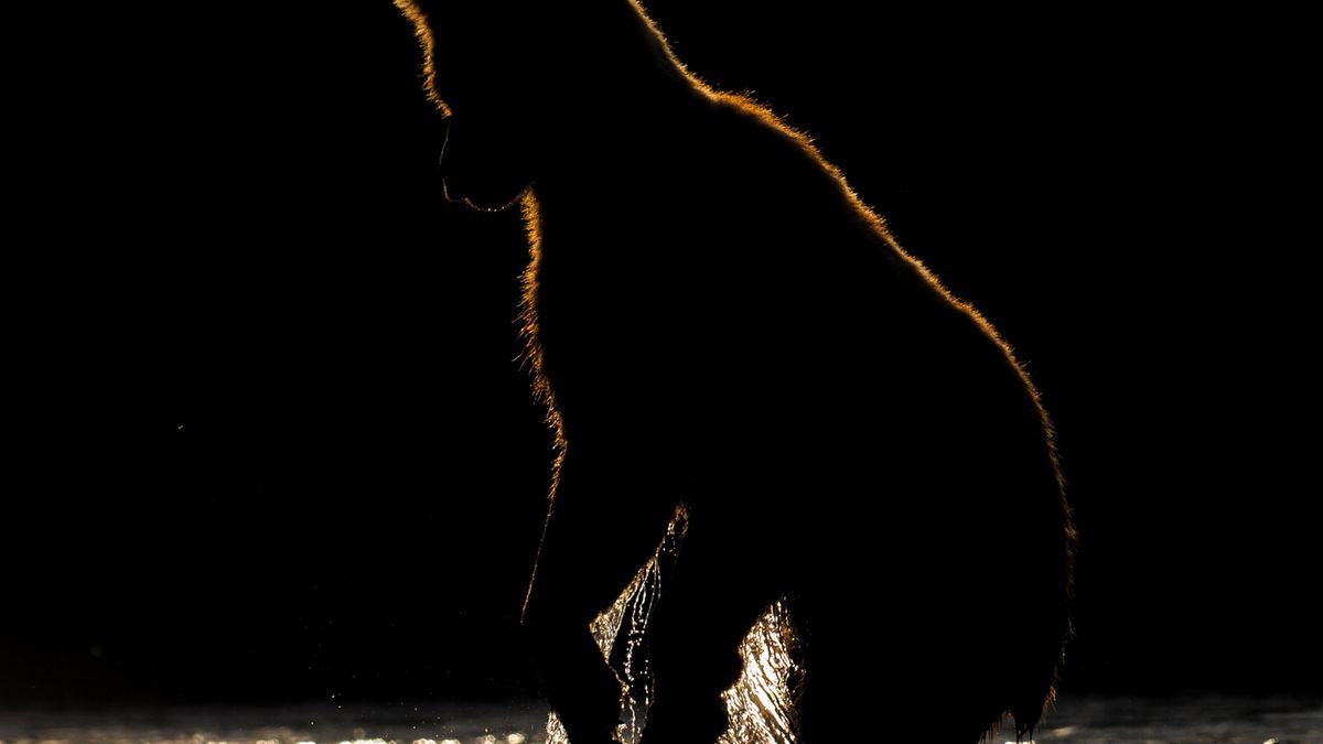 Ostre zdjęcie to za mało… 1