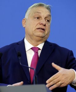 Kádár siedzi i patrzy, jak Orbán znowu mrozi ceny [OPINIA]