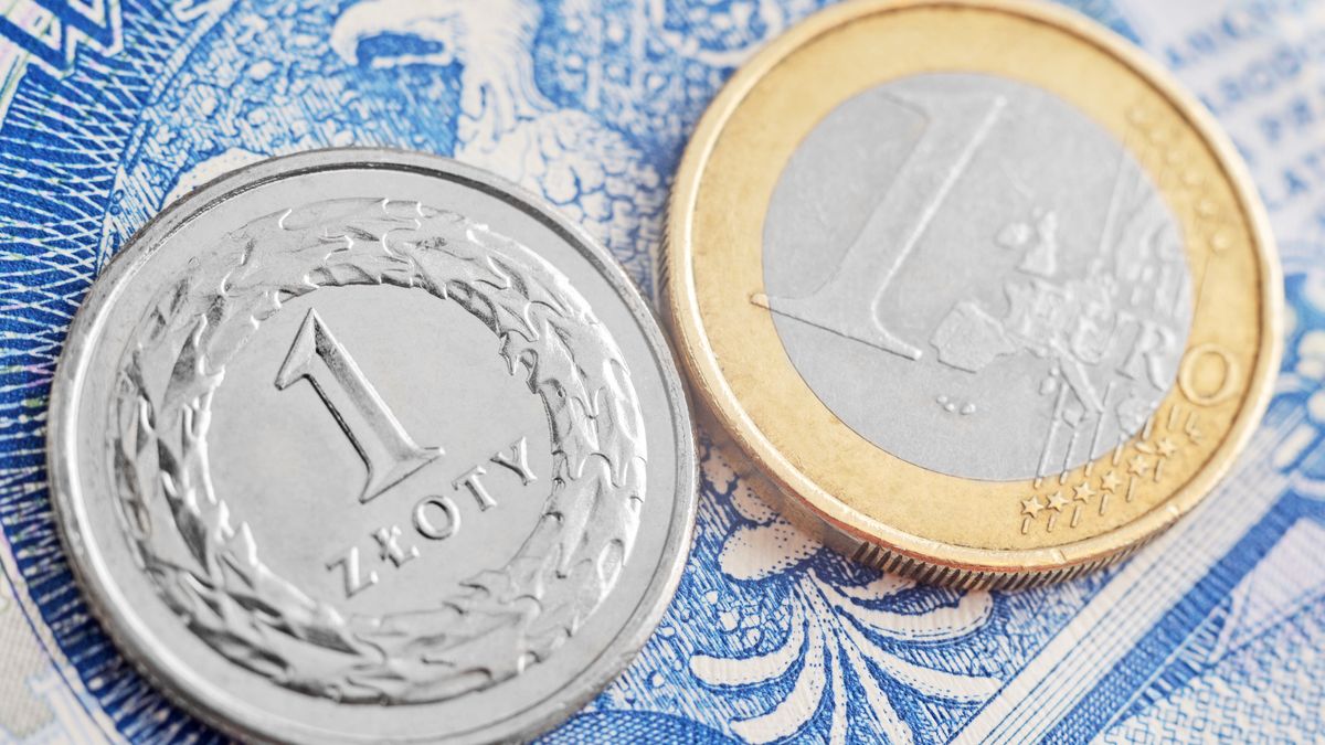 Przedsiębiorcy chcą strefy euro w Polsce