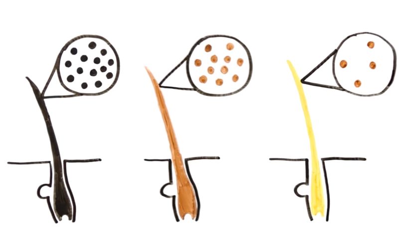 Ekspozycja na słońce zmienia nasz wygląd 