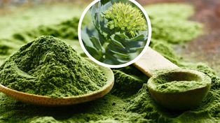 Polska matcha zyskuje na popularności. Ten zielony napój powstaje pod Hajnówką