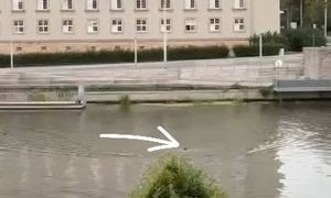 Taki widok we Wrocławiu. Mężczyzna postawił na nogi służby