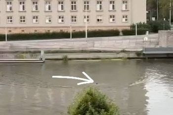 Taki widok we Wrocławiu. Mężczyzna postawił na nogi służby