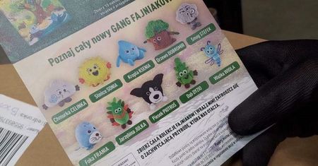 Gang Fajniaków w Biedronce. Jak je zdobyć? Nowe maskotki zastąpią popularne Słodziaki [ZASADY PROMOCJI]