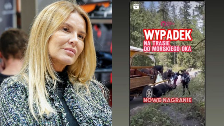 WŚCIEKŁA Hanna Lis komentuje upadek konia na trasie do Morskiego Oka. "Górali w zaprzęg i niech ZAPIEP*ZAJĄ"