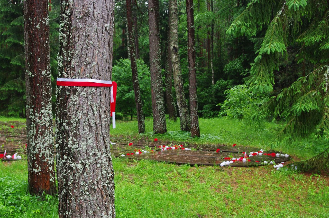 Przed rewolucją październikową las katyński i jego okolice należały do dwóch polskich rodzin: Lednickich i Koźlińskich