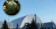 Grzyby z reaktora atomowego i misje kosmiczne. Czy tak podbijemy kosmos?