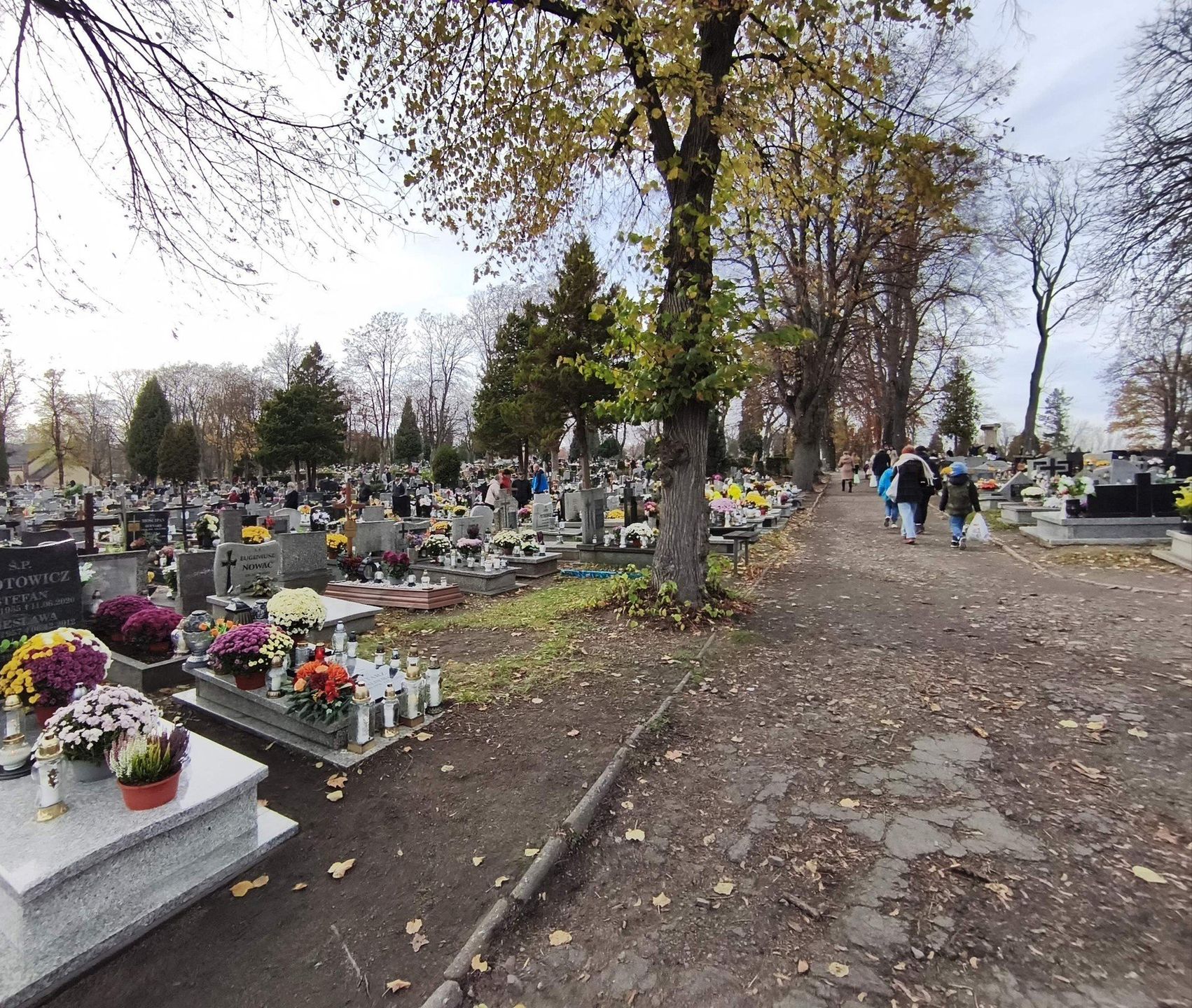 Wszystkich Świętych 2025: Rzeka odwiedzających największą wałbrzyską nekropolię
