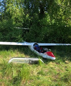 Lądował awaryjnie. Szybowiec wleciał w zarośla