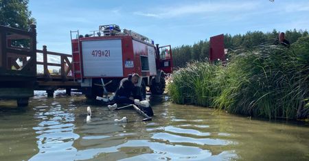 Tragedia nad jeziorem. Wpadli do wody, oboje nie żyją