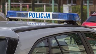 Syn znanej aktorki zaatakowany. Tak sprawca zachował się na policji
