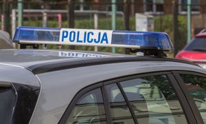 Syn znanej aktorki zaatakowany. Tak sprawca zachował się na policji
