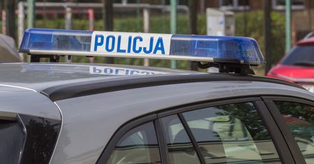 Syn znanej aktorki zaatakowany. Tak sprawca zachował się na policji